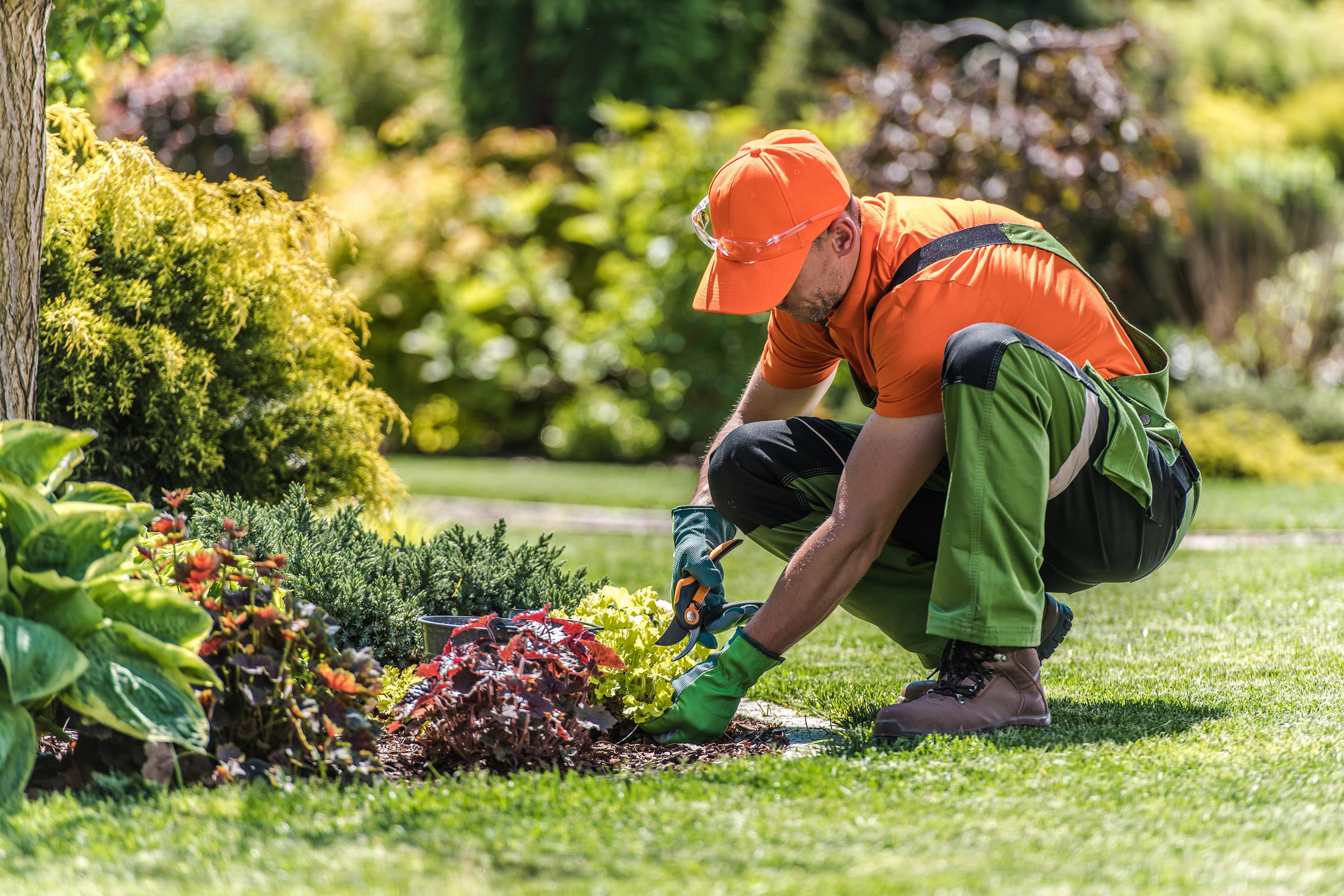 Seasonal Cleanup